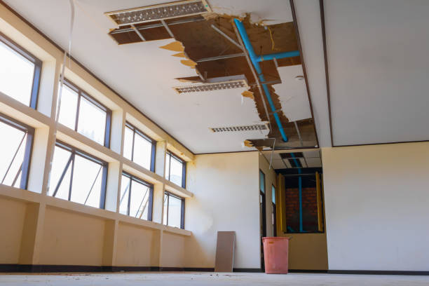 Best Ceiling water damage repair  in Langley Park, MD