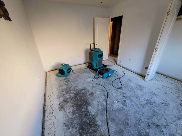 24/7 water damage repair in Langley Park, MD