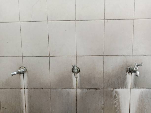 Best Carpet water damage restoration  in Langley Park, MD