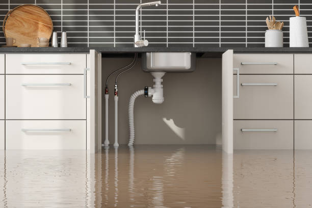 Sewage cleanup and water damage restoration in Langley Park, MD